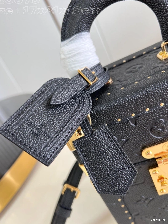 Box Camera LOUIS VUITTON Canvas Monogram 0321